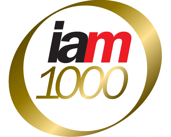 https://www.iam-media.com/rankings/patent-1000/profile/firm/thomannfischer